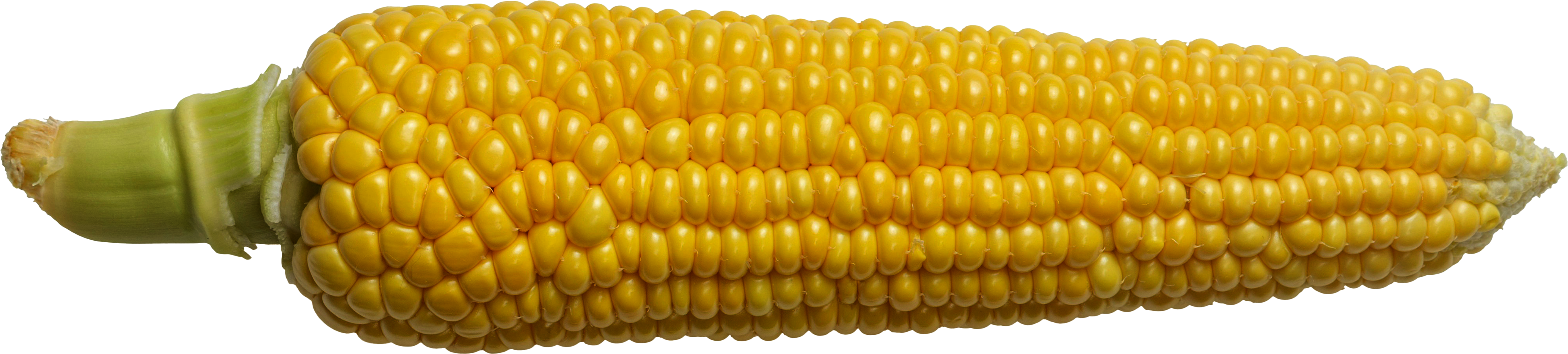 Leh Side Corn